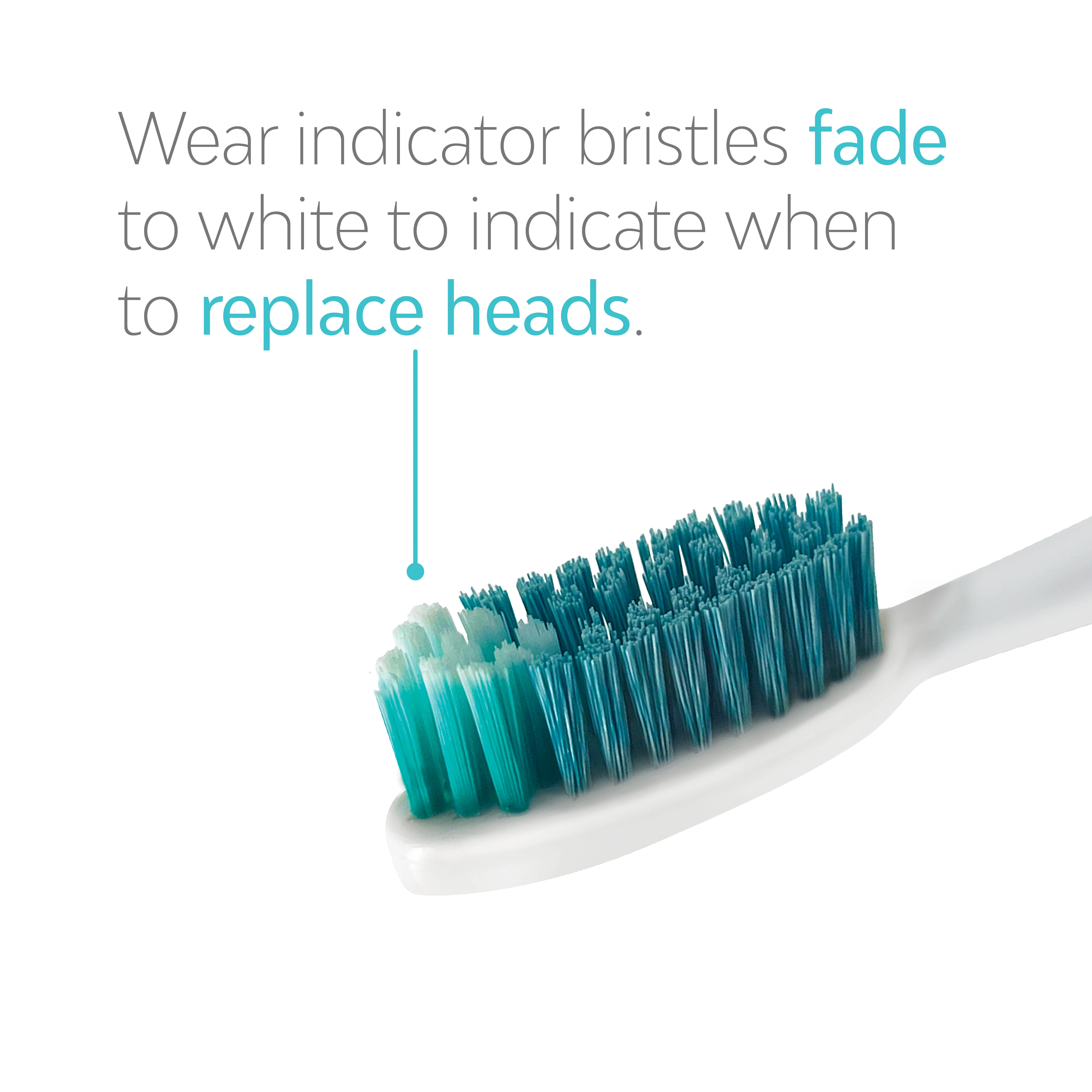 Ultimate Whitening Refill Bundle - Image 3