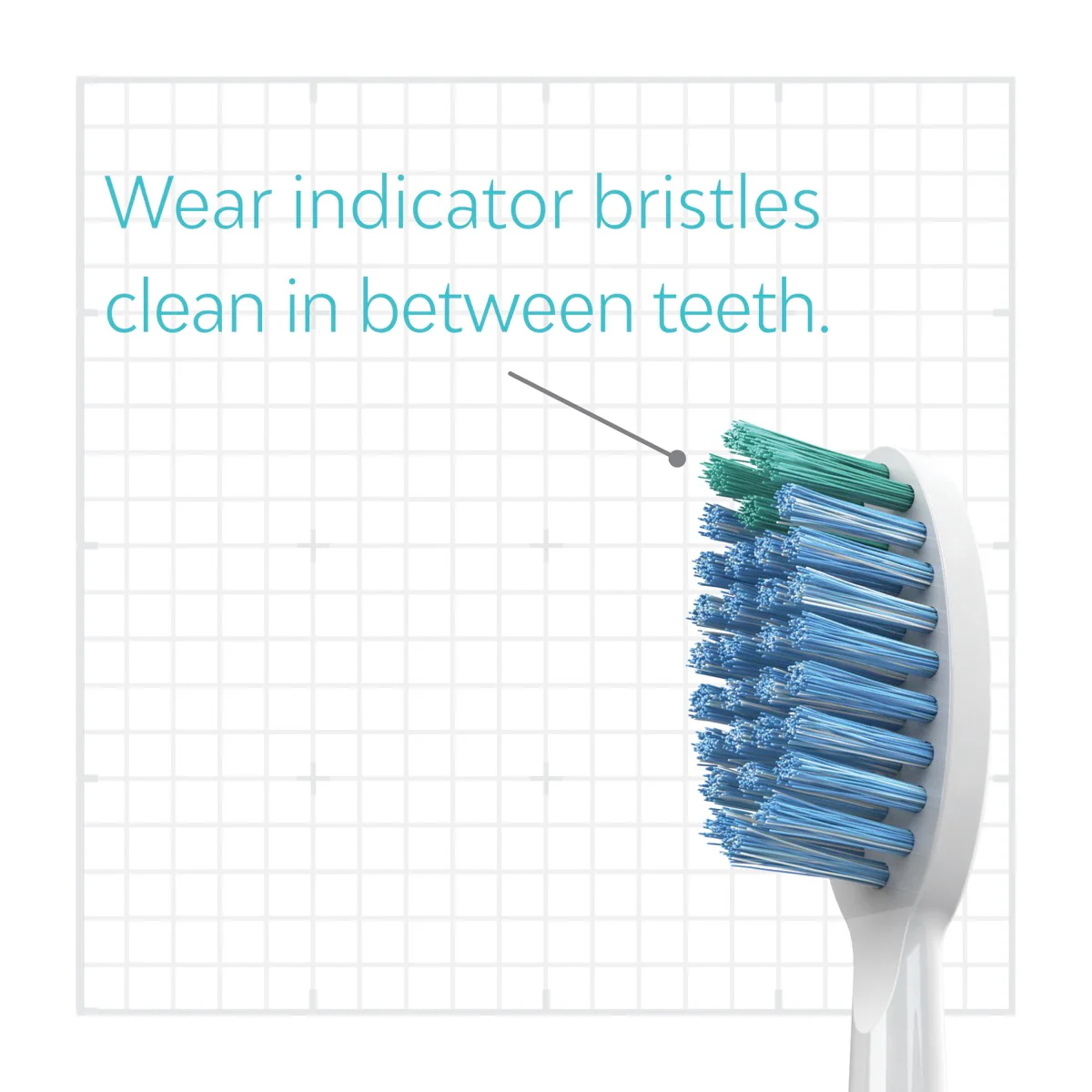 Whitening Heads - Image 13