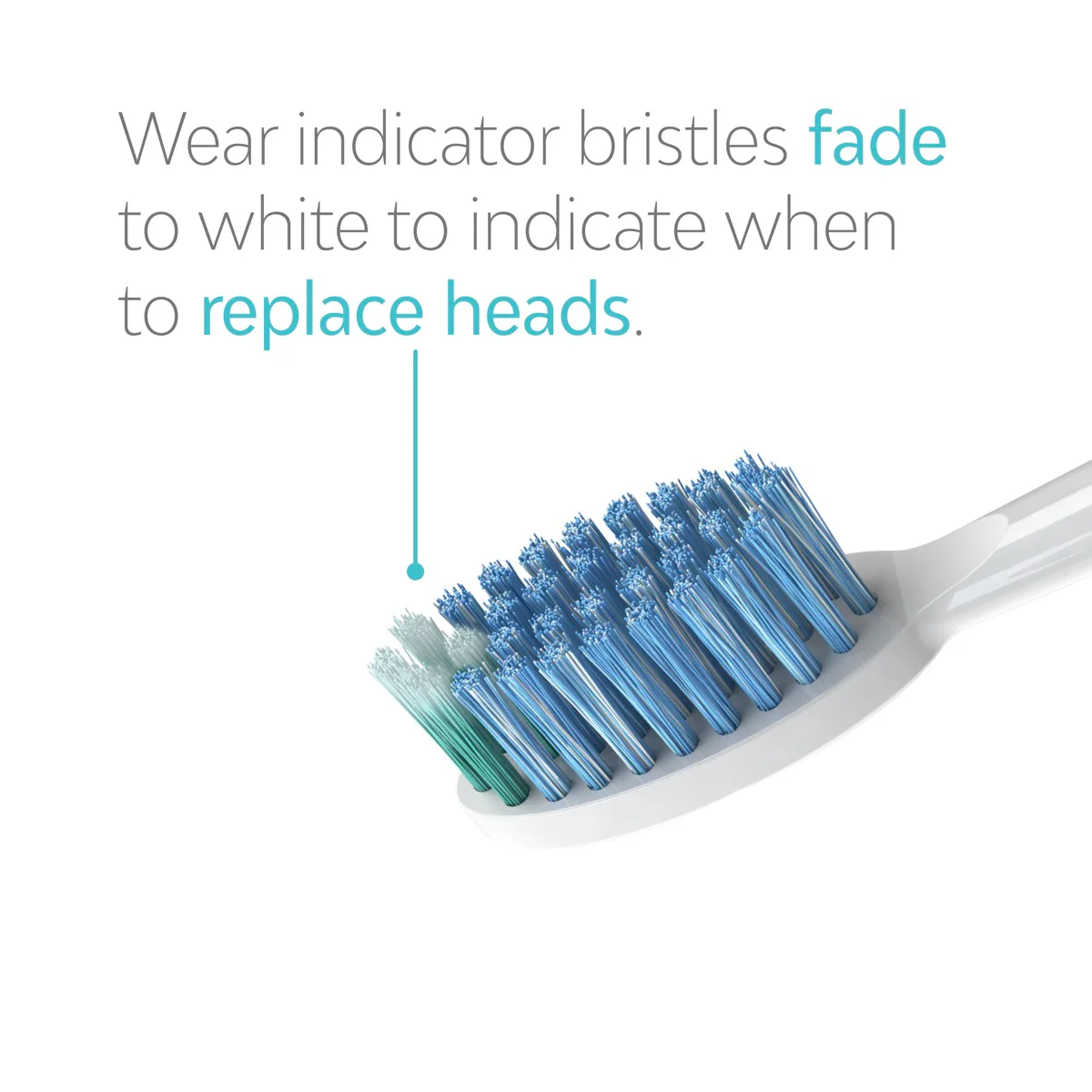 Whitening Heads - Image 7