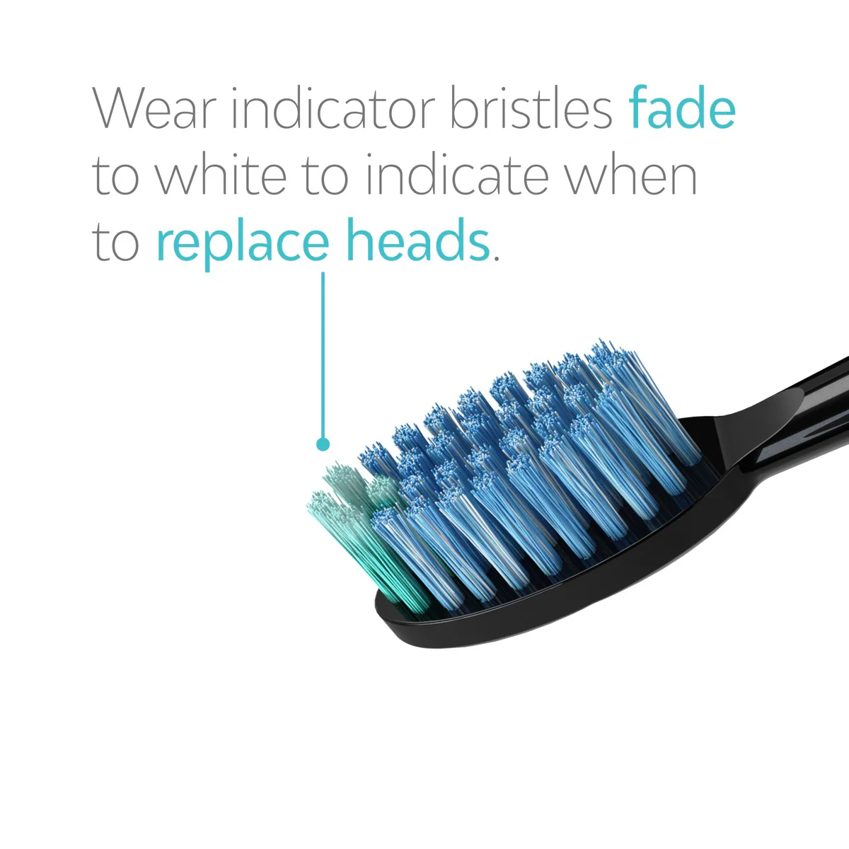 Whitening Heads - Image 8